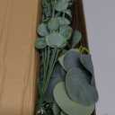 Eucalyptus Stems Bulk 30 Pcs, 4 Kinds Mixed Artificial Silver Dollar Eucalyptus Leaves Bundle Faux Greenery Branches for Wedding Vase Bouquet Floral Arrangement Centerpiece Home Decor