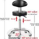 Kaleurrier Swivel Stool Chair Adjustable Height,Heavy Duty Hydraulic Rolling Metal Stool for Kitchen,Salon,Bar,Office,Massage (with Back Rest) (Black), 14.2 Inches X 22 Inches X 20.5 Inches