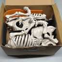 JOYIN 2 PCS 16" Poseable Dog Skeleton Halloween Decoration Animal Puppy Plastic Bones with Posable Joints for Prop Indoor Outdoor Decor Spooky Scene Party Favors Graveyard Decorations