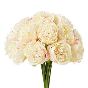 Sahoottie 10 Pcs Artificial Peony Flowers Fake Peonies Silk Flower with Stems for Home Mothers Day Wedding Party Decorations (Champagne)