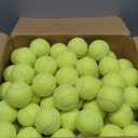 SHYUJAJIE Tennis Balls, 90 Pack Training Tennis Balls Bulk, High Elasticity Practice Tennis for Beginner, Exercise Playing Balls for Pet Dog 