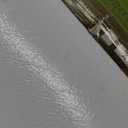 Nexus Self Adhesive 12-Inch Vinyl Floor Tiles, 20 Tiles - 12" x 12", White Slate Pattern - Peel & Stick, DIY Flooring for Kitchen, Dining Room, Bedrooms & Bathrooms by Achim Home Dcor 20-pack