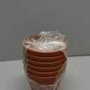 4 Inch Plastic Plant Pots 6 Pack, Small Flower Pots with Drainage Holes and Tray, Thickened Indoor Planters Seedlings Nursery Pots, African Violet, Succulent and All House Plants, Terracotta