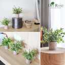 Der Rose 3 Pack Mini Potted Fake Plants Artificial Plastic Eucalyptus Plants Topiaries for Home Office Desk Farmhouse Shelf Room Bathroom Decor(Sage Green)