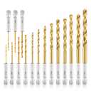 amoolo Hex Shank Drill Bit Set (13Pcs Set+3 Pcs Free), Premium 4341 HSS Titanium Impact Hex Drill Bits for Wood, Steel, Metal, Plastic, Quick Change Design (1/16 -1/4 )