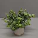 Coferset Small Fake Plants Eucalyptus Potted Artificial Plants Faux Plant Greenery in Ceramic Pot for Bedroom Kitchen House Living Room Shelves Farmhouse Table Office Desk Bathroom Home Indoor Decor