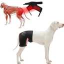 Dog Hip Brace with Red Infrared Light Therapy Pain Relief for Arthritis, Hip Dysplasia, Spine Issues & Muscle Recovery, Portable & Cordless, Patent Pending(Female Dog, XL)