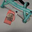 ADVENTUREMORE Small Dog No Pull Harness - Reflective, Escape Proof with Front Clip Handle for Training & Walking - Teal