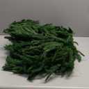 Hananona 2 Pcs 9 Ft Artificial Norfolk Pine Garlands, Real Touch Winter Pine Garland, Green Artificial Greenery Garland for Table, Mantle, Wall, Indoor, Outdoor Christmas Decorations (2, 9 Ft)