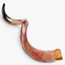 HalleluYAH Original Kosher Fully-Polished Kudu Shofar From ISRAEL (28"-32")