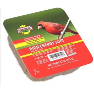 Audubon Park High Energy Suet Wild Bird Food, Best By Aug 26/2025, Pack Of 4