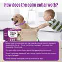 Calming Collar for Dogs 4 Packs, Dog Pheromone Calm Collars Relief Anxiety Stress Separation Lasts 60 Days, Calm Pheromone Collars 25 Inches Size Flexible Adjustable for All Dog (Pruple)
