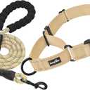 haapaw Martingale Dog Collar with Quick Release Buckle Reflective Dog Training Collars for Medium Dogs (Beige)