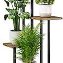 AZERPIAN Plant Stand 5 Tier Indoor Metal Flower Shelf for Multiple Plants Corner Tall Flower Holders for Patio Garden Living Room Balcony Bedroom, Black (5 Tier-Black)