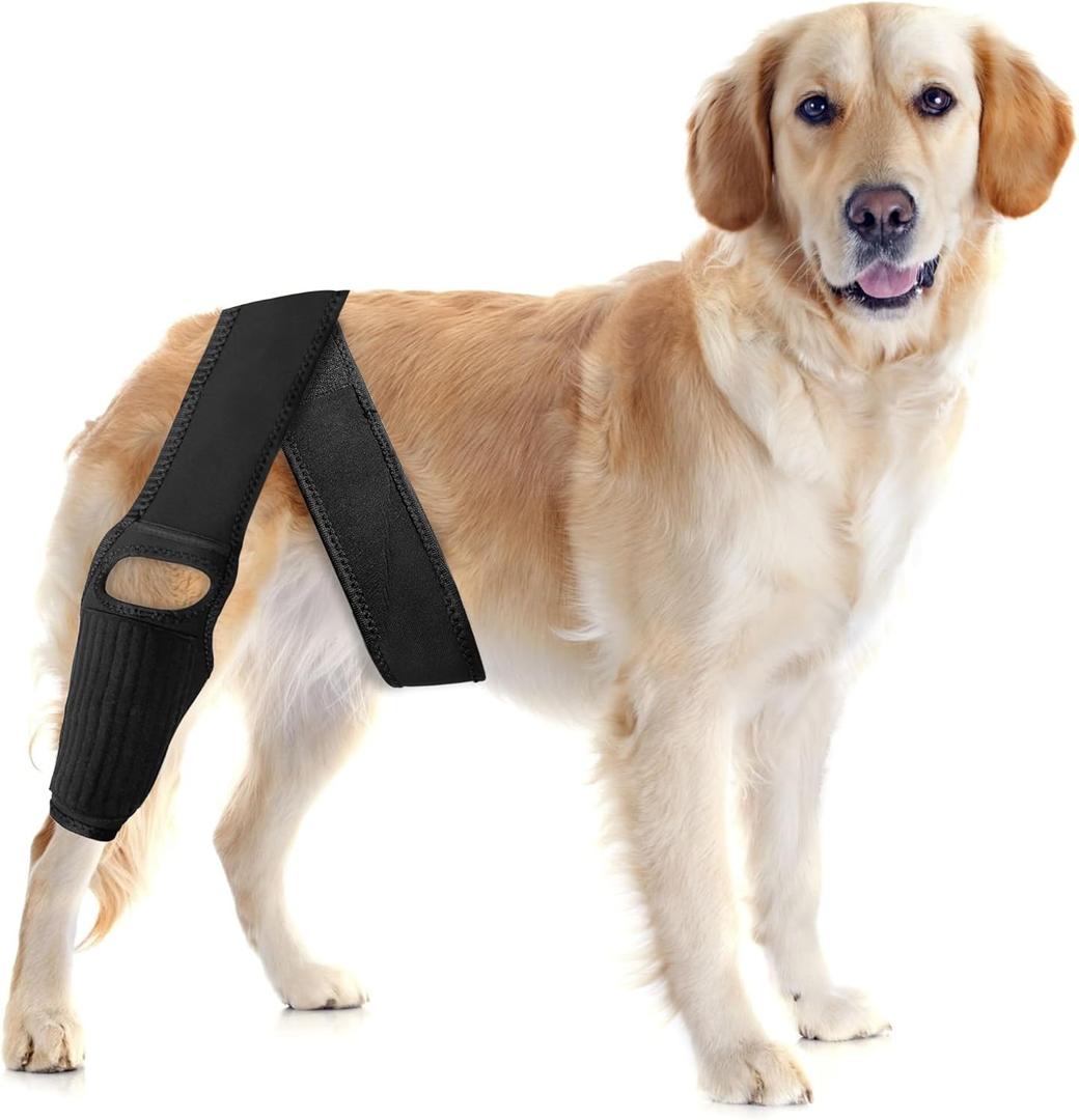 Dog Knee Brace for Torn ACL Elastic Support, Adjustable Compression Stabilizer, Breathable Neoprene, 4-Leg Universal Fit (Front/Rear, Left/Right) for Post-Surgery Recovery, (M)