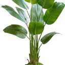 Bird of Paradise Artificial Plant, 5FT Faux Plants Indoor Banana Leaf Tree with 9 Leaves, Large Fake Tropical Potted Indoor Silk Floor Plant with White Tall Planter for House,Office,Room,Home Decor