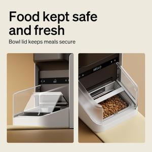 PETLIBRO RFID Automatic Cat Feeder, 5G Wi-Fi Pet Feeder, 3L Auto Cat Feeder App Control with Light Collar Tag, Automatic Feeders for Cat, Tag Activated One Cat Food Dispenser 1-10 Meals Control