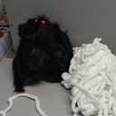 OCATO 200" Halloween Spider Web + 59" Giant Spider Decorations, Fake Spiders with Triangular Huge Spider Web, Indoor/Outdoor/Halloween Decorations/Yard/Home/Costumes Parties/Haunted House Decor, Black