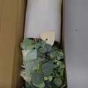 HOHOTIME Artificial Flowers with Vase, White Silk Roses Fake Flower Arrangement with Eucalyptus, Faux Plant Vase for Home Office Dining Table Centerpiece Coffee Table Decor Farmhouse Decoration