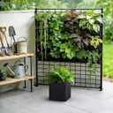 Kante 10 Inch Square Concrete Planter for Outdoor Indoor Home Patio Garden, Large Plant Pot with Drainage Hole and Rubber Plug, Black