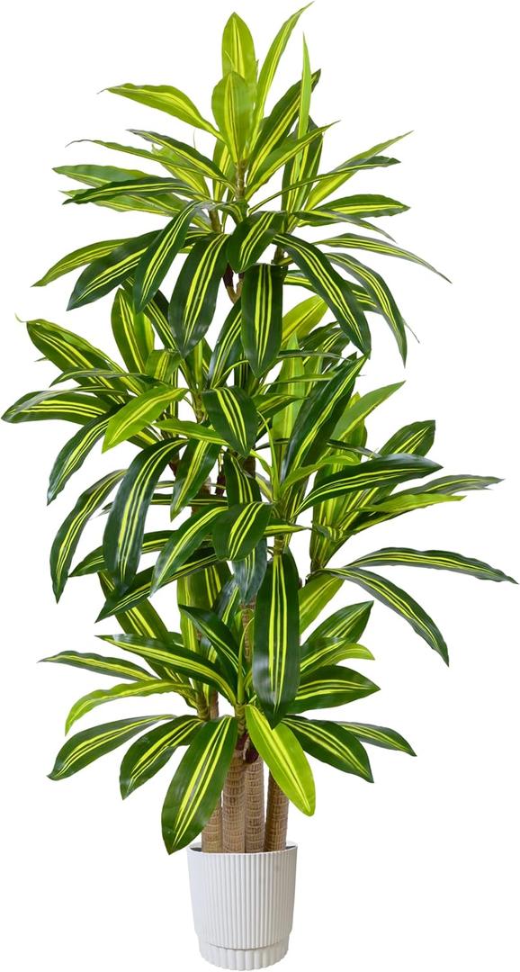 Warmplants Artificial Dracaena Tree 6ft, Fake Yucca Plant with White Planter and Lifelike Leaves, Faux Dracaena Tall Floor Trees for Home Office Garden Décor