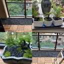 18lbs Natural Polished Decorative Gravel - Small Black Stones, Aquarium Gravel & Garden Ornamental Pebbles
