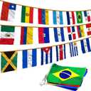 Anley Latin America 23 Countries String Flags - Assorted Latino Flag Banners for Heritage Hispanic Month International Events Conference Party Decoration Sports Bars - 32 Ft 23 Flags (12 x 18 Inch)
