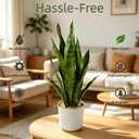 Fake Snake Plant, 27in Artificial Plant with White Pot Realistic Leaves, Low Maintenance Potted Plant for Indoor Decor, No Watering Needed, Perfect for Home, Office & Pet Areas
