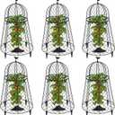 6 Packs Garden Cloches for Plants, Plant Protectors from Animals, Chicken Wire Cloche, Plant Cloche and Cage, Protection for Your Plants and Seedlings, 13" D x 20" H - Black