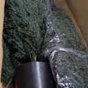 3FT Artificial Topiary Cedar Trees, 2-Pack Realistic Pre-Potted UV Resistant Faux Cypress Plants for Home Porch, Garden, and Entryway Decor