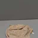 Bali Women's 6543 Lace Desire Lightly Lined Underwire Bra (38DD)