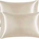 EHEYCIGA Satin Pillowcase Queen Set of 2, Soft Pillowcases for Hair and Skin Similar to Silk, Beige Pillow Cases 2 Pack with Envelope Closure, 20X30 Inches