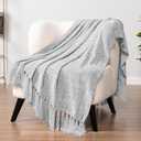 PAVILIA Light Gray Chenille Throw Blanket for Couch, Twin Size Bed, Sofa - Soft Knit Woven With Tassel, Decorative Textured for Living Room, Light Grey 60x80