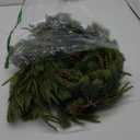 Christmas Mixed Norfolk Pine Juniper Garlands 6ft Artificial Norfolk Pine Garland Realistic Faux Christmas Spruce Juniper Greenery Garland for Holiday Indoor Mantle Fireplace Decor