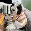 KYEESE Color Block Dog Sweater for Medium Large Dog Turtleneck Thermal Knit