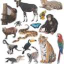 Fun Express Jumbo Realistic Rainforest Cutouts - VBS 2026 Vacation Bible School Supplies/Decor - Educational and Learning Activities for Kids - 15 Pieces