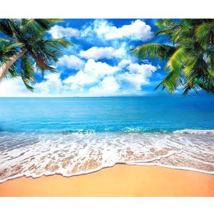 Summer Tropical Beach Backdrop Blue Sea Sky White Clouds Palm Trees Backdrop Theme Portrait Photography Background Holiday Photo Video Studio Props Banner 20x10ft