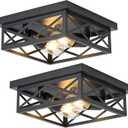 Black Flush Mount Ceiling Light 2 Pack, Cage Industrial Farmhouse Ceiling Light Fix-tures Suitable for Kitchen Entryway Hallway E26 Base (10.0 in)