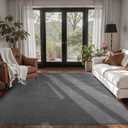 Lascpt Soft Area Rug for Living Room, 4x6 Ft Dark Grey Memory Foam Large Rug for Bedroom, Modern Throw Rug for Girls Boys Women Kids, Carpet for Bedroom Nursery Room Decor, Gray 