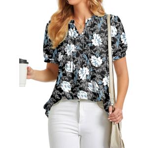 BISHUIGE Womens Summer Tops V-Neck Casual Loose T-Shirt Fashion Lantern Sleeves Blouses