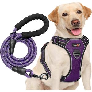 No Pull Dog Harness Adjustable Reflective Oxford Easy Control Medium Large Dog Harness with A Free Heavy Duty 5ft Dog Leash (M (Neck: 14.5"-20.5", Chest: 22"-28"), Purple Harness+Leash)