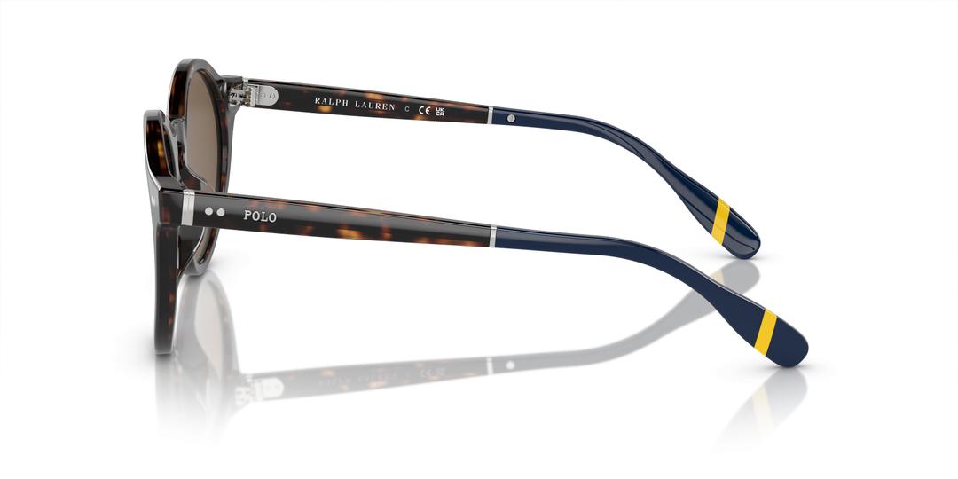 Polo PH4204U SUNGLASSES