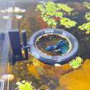 HOZOE Fish Tank Floating Betta HideBetta or Shrimp Burrows and Hammock, Fish and Shrimp FeederMultifunctional Aquarium AccessoriesAnchorable Location (Black)