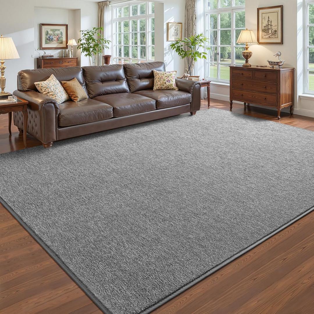 Pettop 4x6 Grey Area Rugs for Living Room Bedroom, Thickened Memory-Foam Throw Carpet, Modern Minimalist Super Soft Kids Boys Girls Rug, Non-Slip and Washable Carpets for Dorm Home Decor, Gray