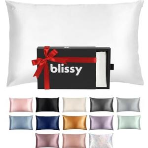 Blissy Silk Pillowcase - 100% Pure Mulberry Silk - 22 Momme 6A High-Grade Fibers - Silk Pillow Cover for Hair & Skin - Regular, Queen & King (Blissy White, Standard)