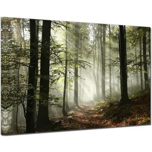 Forest Canvas Wall Art Trees Foggy Morning Spring Rustic Landscape for Bedroom Bathroom Decorations Modern Artwork Print Framed Painting Living Room Home Office Wall Dcor 12x16inch