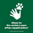 Scotts Green Max Lawn Food, 5,000 sq. ft.