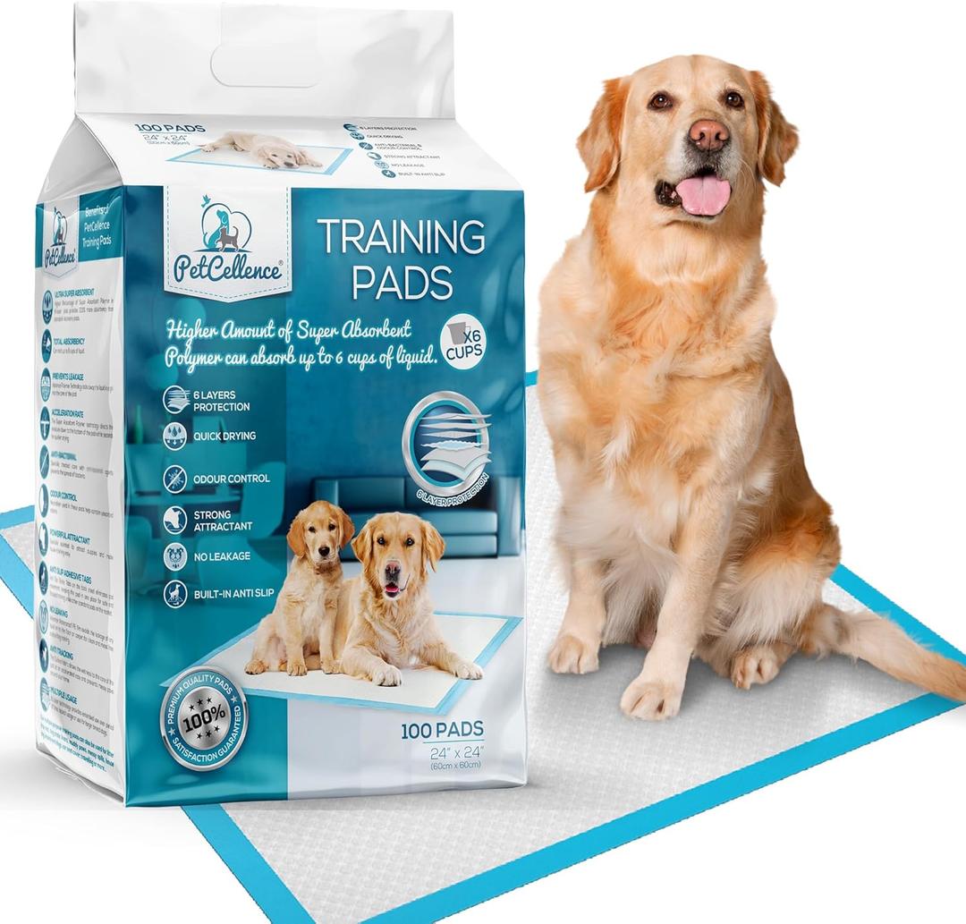 Large Puppy Pads 100 Count - 24" x 24" Pee Pads for Dogs with Adhesive Sticky Tapes, Ultra Absorbent Dog Pads, Perfect for Incontinent Dogs and Potty Toilet Training (Blue)