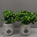Maxcheck 2 Pack St. Patricks Day Shamrock Vase Large Artificial Clover Plants Live in Pots St. Patricks Plants Vase Gift for Irish Party Tiered Tray Decoration