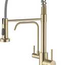 APPASO Gold Kitchen Faucet with Water Filter, Brushed Gold Kitchen Sink Faucet, 3 in 1 Kitchen Faucet (Without Water Filtration Device)